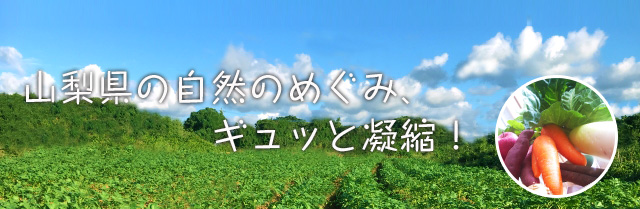 山梨県の農場