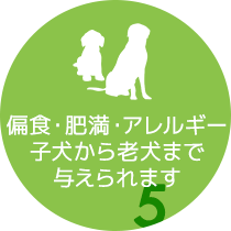 偏食・肥満・アレルギー 子犬から老犬まで与えられます